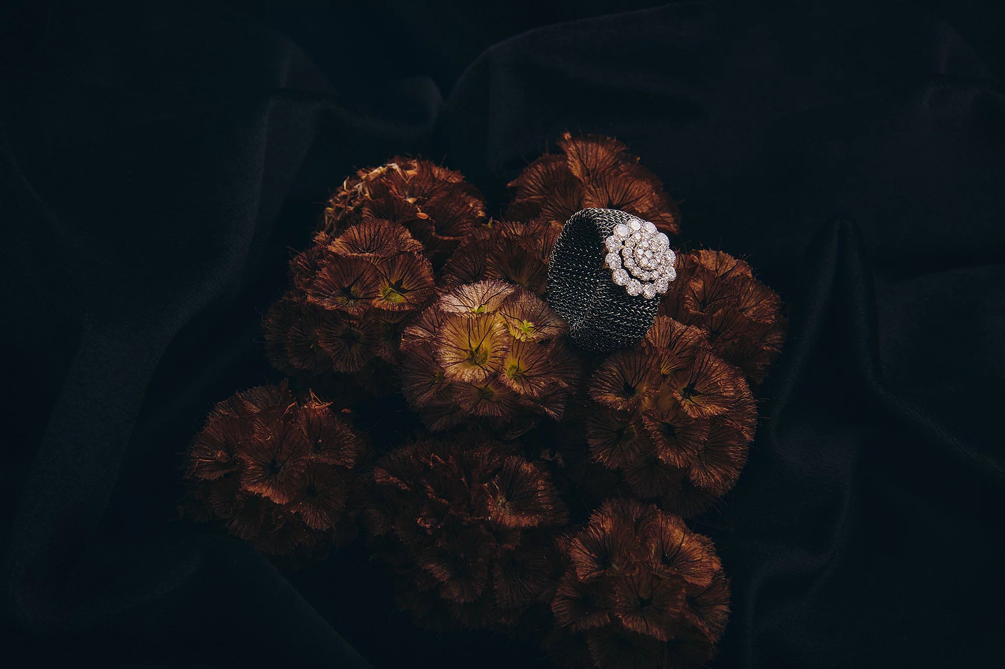 A Flower of Diamonds