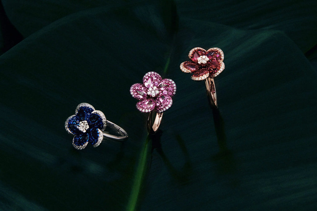 Petals of Light