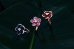 Petals of Light
