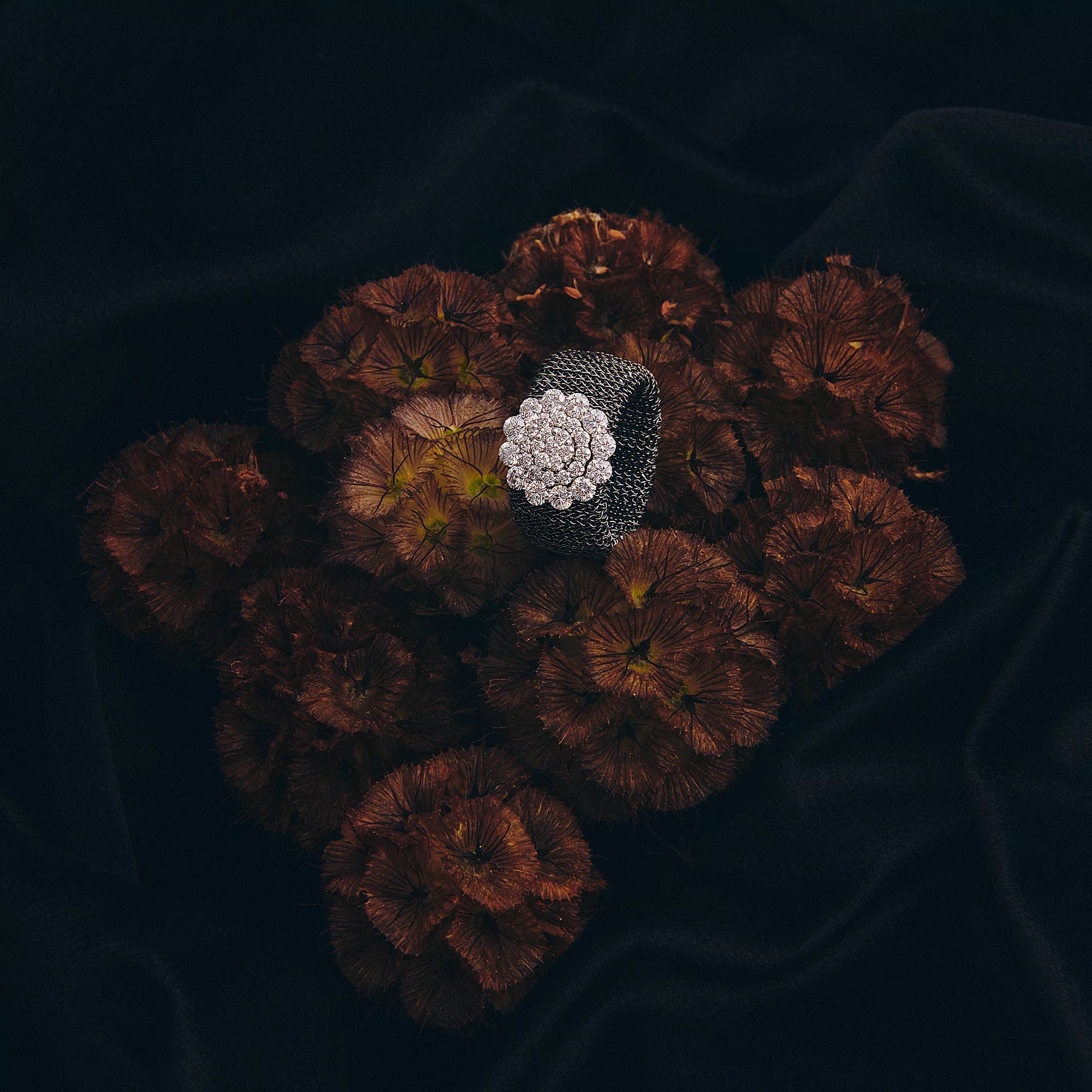 A Flower of Diamonds